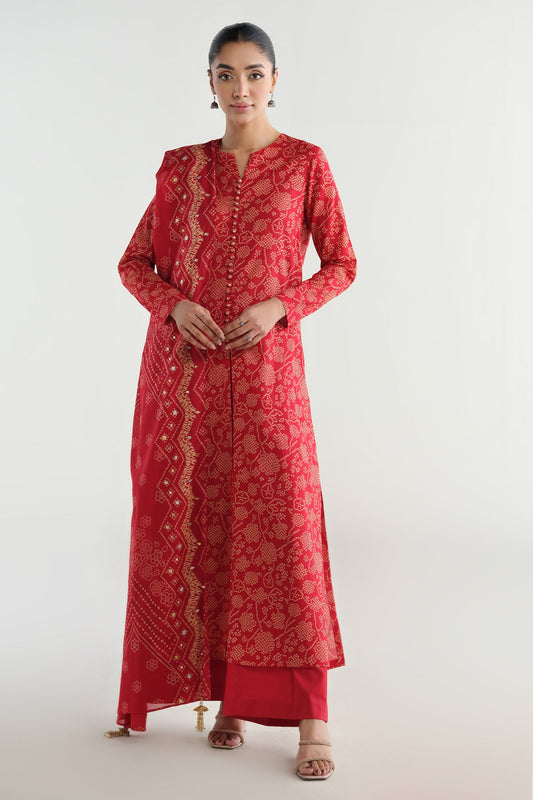 2 Piece - Printed & Embellished Suit - C6263