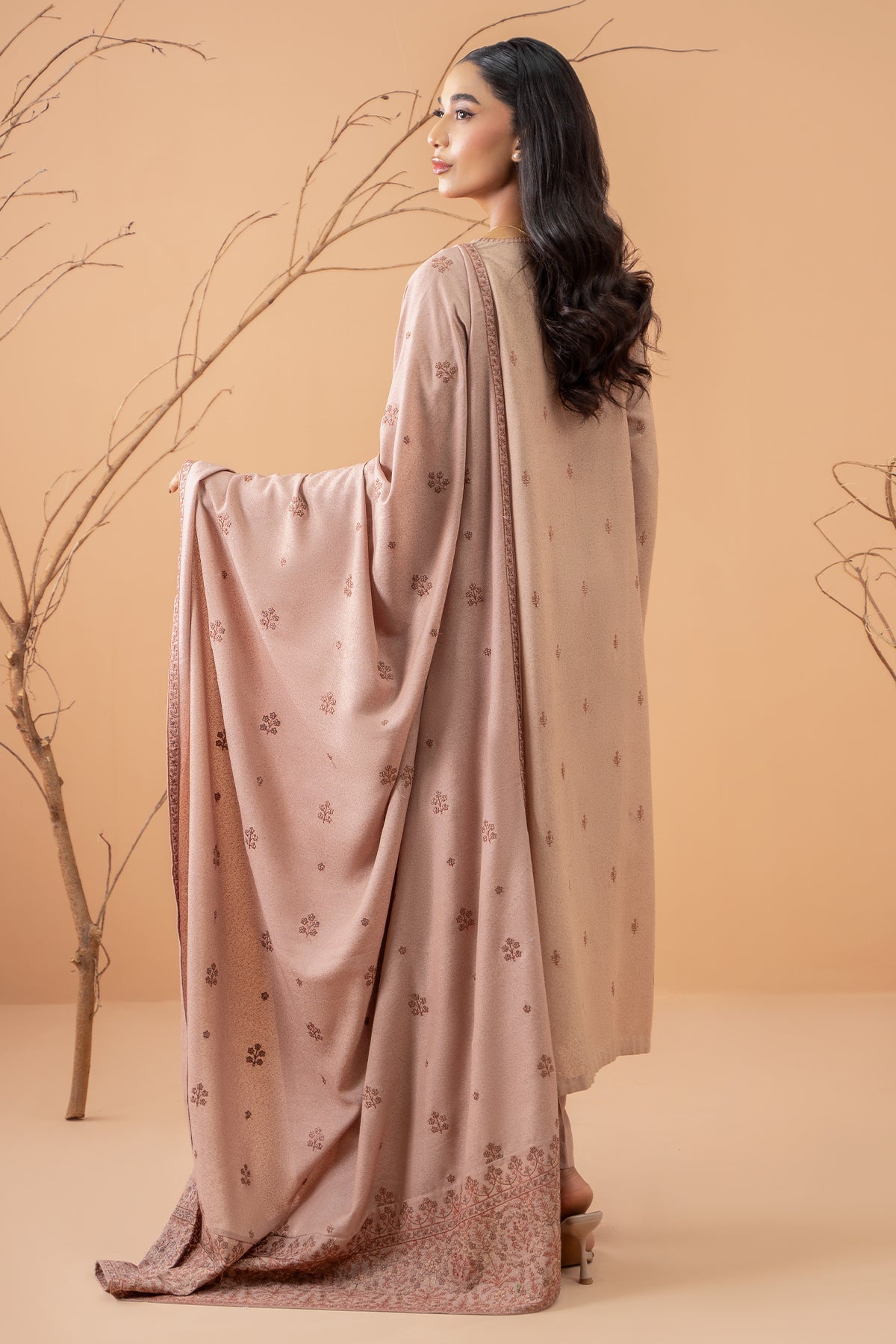 3 Piece - Embroidered Karandi Suit - C6076-1
